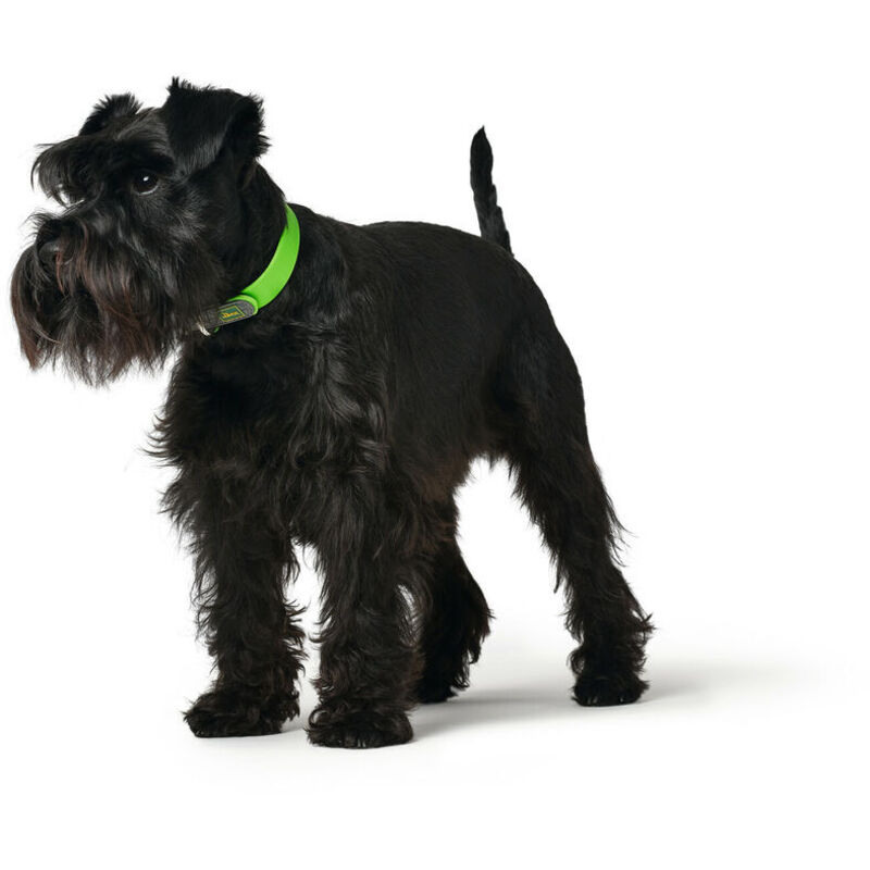 Hunter Collare Cane In Pelle - Misura 41-49 Cm, Nero - Artigianale, Resistente, Stiloso - Foto 6