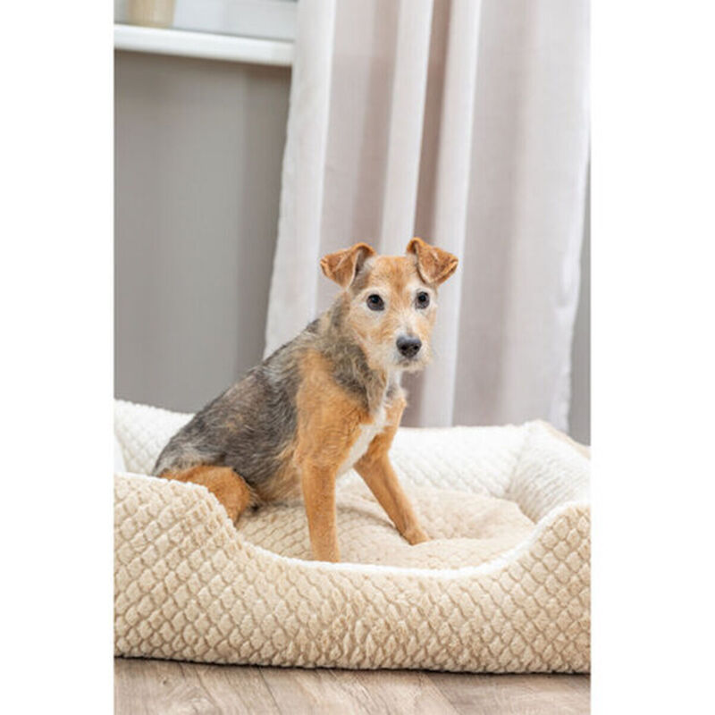 Trixie Kaline Cuscino Per Cani 70x47 Cm – Rivestimento In Peluche, Imbottitura In Pile, Grigio/crema, Per Letti In Plastica