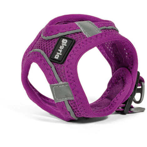Arnés para Perro Gloria Trek Star 27-28 cm 31-34,6 cm Negro XS | Leroy