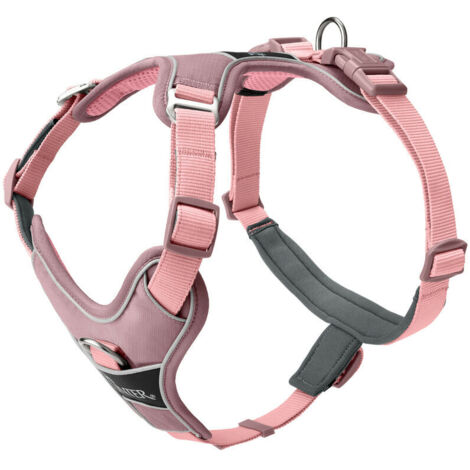 Anneau De Protection Anti-collision Pour Chien/chat Aveugle - Réglable, Léger, Guide En Sécurité (taille XS)