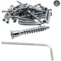Vis à Filetage Direct Pour Bois Résistantes et Fiables + Clé Allen Offerte Idéales Pour Tous Vos Projets De Bricolage (Diamètre 8x38mm, 100 pièces)