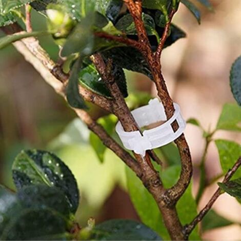 CH16130-Clips Fixes Réutilisables Pour Plantes De Jardin Vertes. 10 à