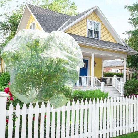 PTMTFYL Filet De Protection Pour Arbres Fruitiers - 3 X 3 M - Grand Filet Pour Myrtilles Avec