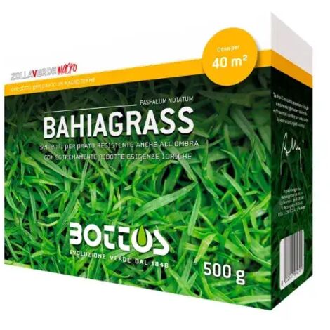 Graines Paspalum notatum Bahiagrass Bottos 500gr prairie rustique et légère