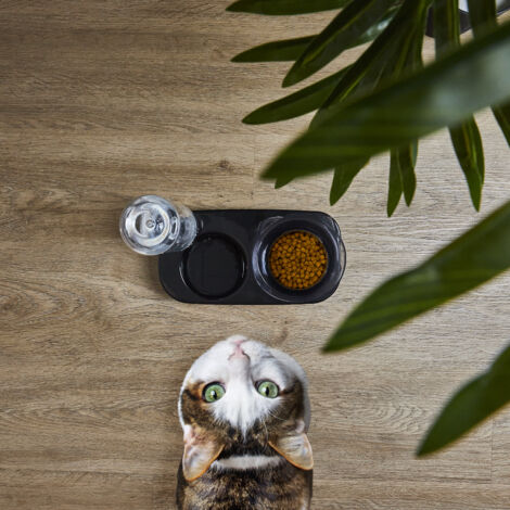Gamelle Et Distributeur Eau Pour Animaux (1/5)