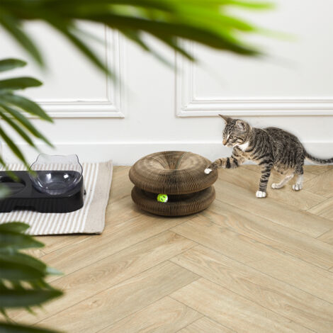 Jeu Griffoir Pour Chat (1/5)