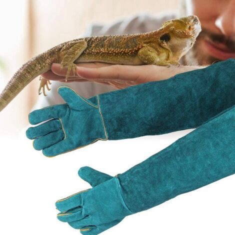 Anti-Morsure Gants de Manutention pour Animal, Sécurité Cuir Gants de Travail pour Le Bain, Le Toilettage, la Manipulation Chien, Chat, Oiseau, Serpent, Lézard, Reptile - Gants de Protection (1/5)