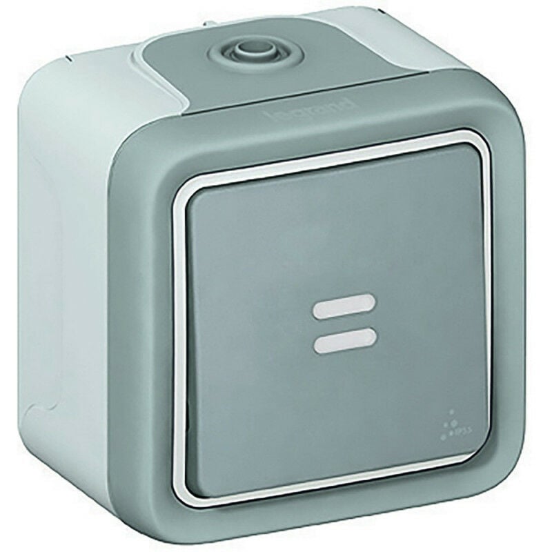 Interrupteur ou va-et-vient témoin Plexo complet IP55 saillie 10AX 250V gris (069712)