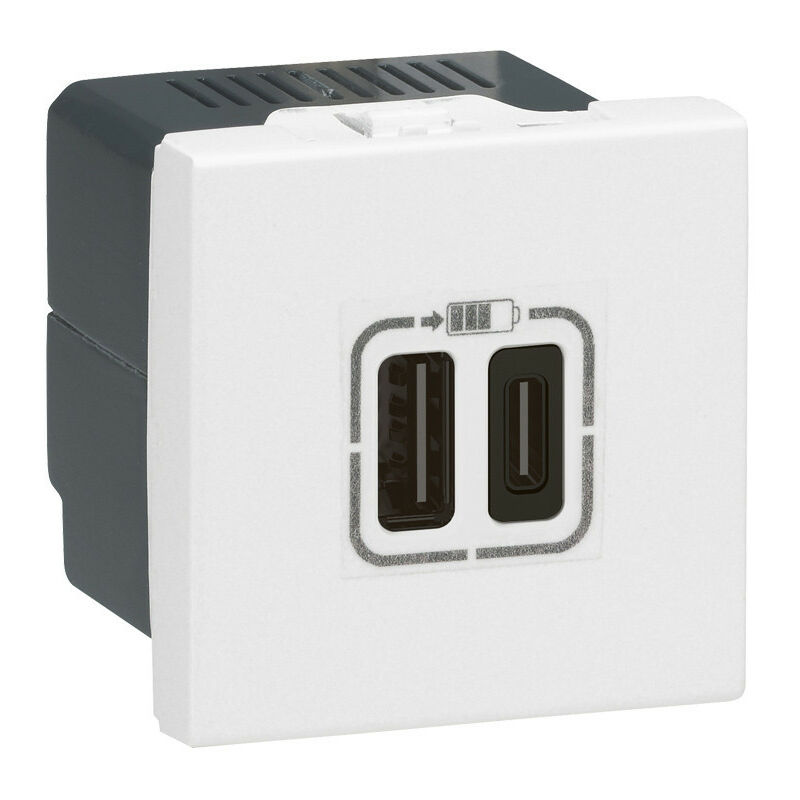 Chargeur 2 USB Type C 3A 15W Mosaic 2 modules 230V ou 5V blanc (077590)