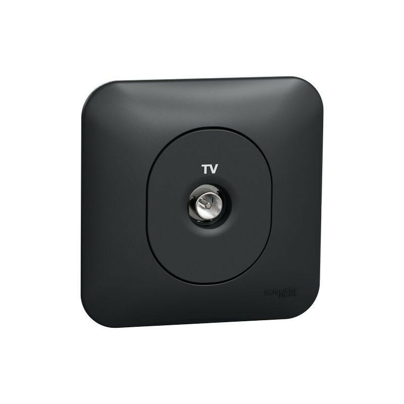 Ovalis - Prise TV Simple - Fixation Avec Griffes Avec Plaque -Anthracite - S465405 - Schneider
