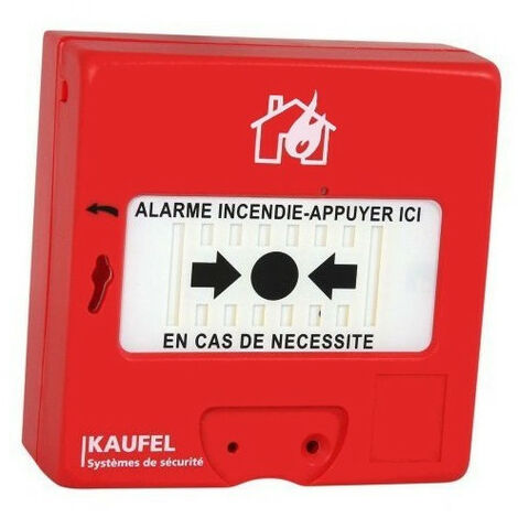 Bris De Glace Avec Clé (534115)