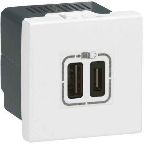 Chargeur 2 USB Type C 3A 15W Mosaic 2 modules 230V ou 5V blanc (077590)