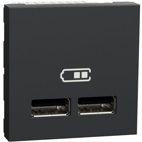 Unica - chargeur USB double - 5Vcc - 1A + 2,1A - 2 modules - Anthra - méca seul (NU341854) (1/3)