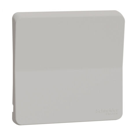Enjoliveur avec symbôle lumière Mureva Styl - IP55 - IK08 - blanc - Schneider Electric - MUR39202 (1/4)