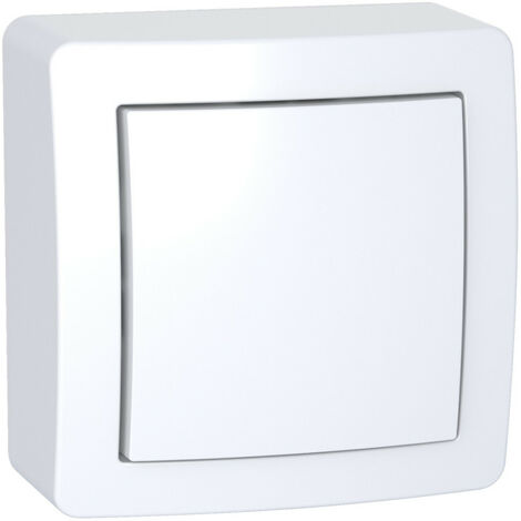 Alréa, Interrupteur simple allumage avec cadre saillie blanc polaire (ALB62050P)