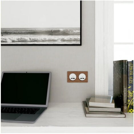 Odace - prise USB double - type A+C - Blanc - 5 Vcc - 2,4A (S520401)
