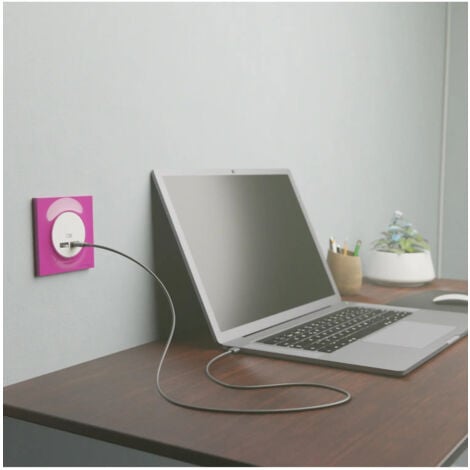 Odace - prise USB double - type A+C - Blanc - 5 Vcc - 2,4A (S520401)