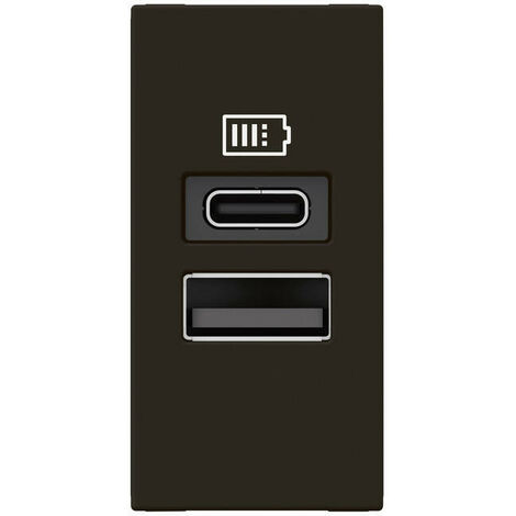 Chargeur USB Type-A+Type-C Mosaic - 2 modules noir pour support LCM (077672L)