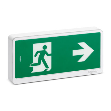 Schneider Electric Exiway Light BAES Ambiance SATI LINK IP65 - Bloc Secours Éco-Responsable 1h LiFePO4 Connecté Ecostruxure Sans Fil