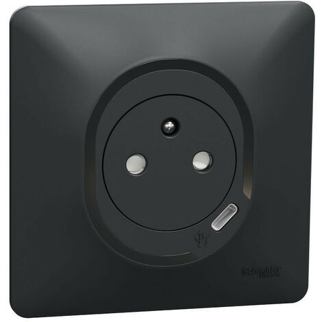 Ovalis - combi 2P+T 16A affleurante+chargeur USB-C 10,5W - connex. auto - Anth (S340089)