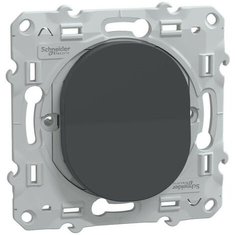 Schneider Electric – Bouton poussoir à fermeture lumineux anthracite – Compatible avec plaque Ovalis – Tension 250V – Courant 10A – S340206