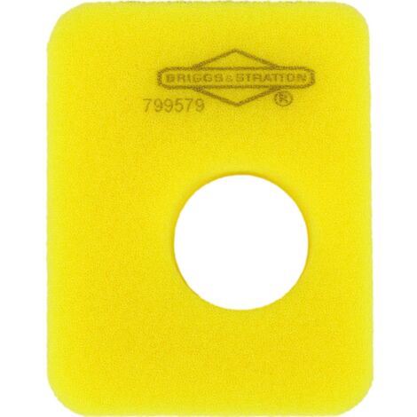Filtre à air pour tondeuse à gazon BRIGGS&ampSTRATTON 799579 Moteurs 450E 500E 500OHV