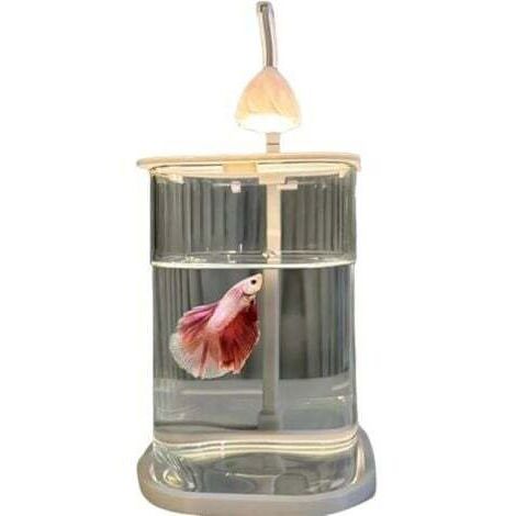 Acuario de escritorio de cristal con iluminación LED creativa, de bajo consumo, alimentado por USB, acuario microecológico con paisaje curativo, adornos decorativos (sin decoraciones).