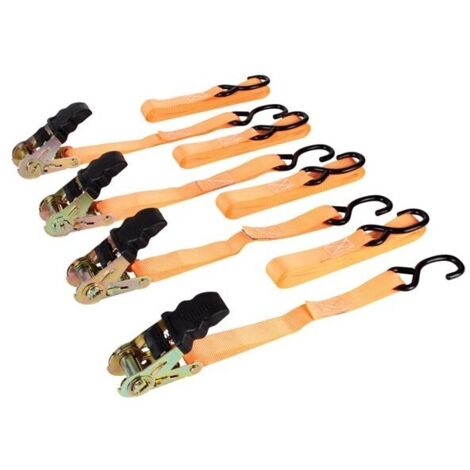SANGLE D'ARRIMAGE AVEC TENDEUR A CLIQUET 500 kg - 25 mm x 5 m - 4 pcs ARAT2554 RI8812
