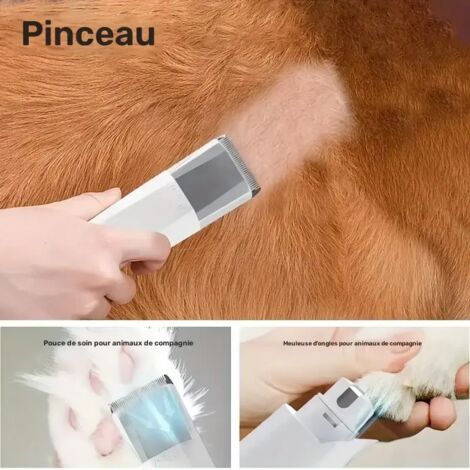 Gants De Toilettage électrostatiques Pour Animaux - Enlève Poils Sur Tapis, Meubles, Vêtements - Taille 23,5x17,5 Cm