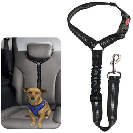 Laisse de sécurité extensible pour animaux de compagnie ceinture de voiture avec mousqueton réfléchissante élastique pour chien ou chat couleur noire (1/4)