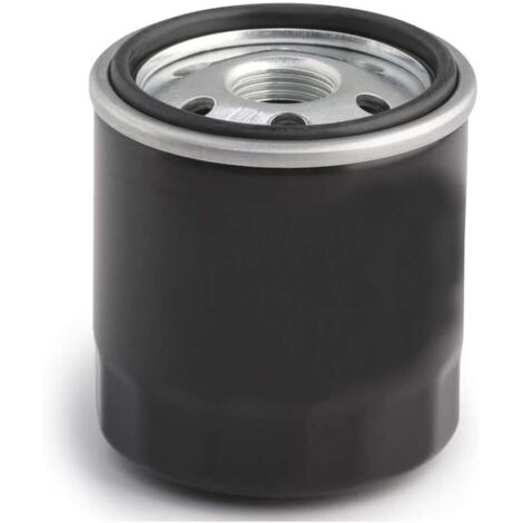 Hippotech Filtre à huile pour Kawasaki 49065-2057, 49065-2070, 49065-2071