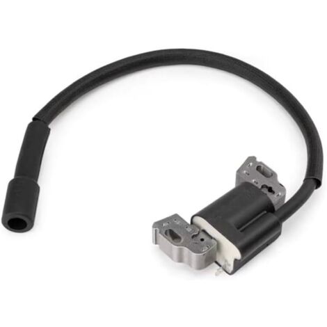 1 module magnétique d'ancrage de bobine d'allumage 594626 594456 pour moteur 592841 595038 594626 595304 799650 795315