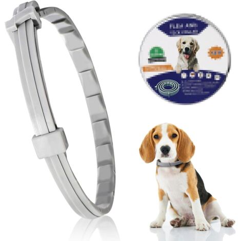 Collier Anti Puces pour Chien, Collier Anti Puces Et Anti Tique pour, 63cm, Longue Duree De Protection Collier Antiparasitaire,Naturel Collier Anti-Puce Chien pour Tous Types de Chiens.