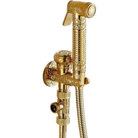 Pulvérisateur de bidet mural en laiton doré – Installation facile – Tuyau 1,5m en acier inoxydable – Hygiène personnelle améliorée (1/5)