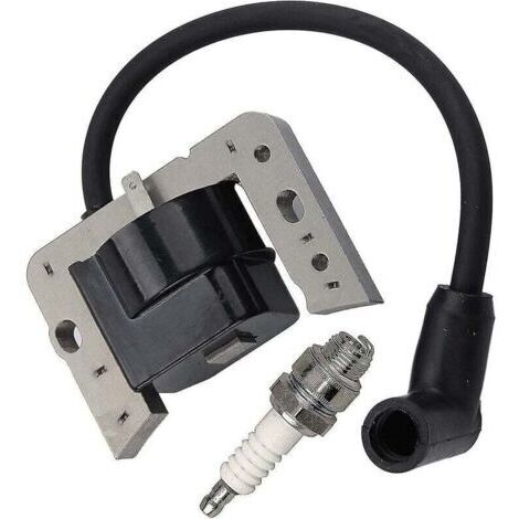 Bobine d'allumage 34443d pour Tecumseh 34443, 34443a 34443b 34443c Module à semi-conducteurs de bobine d'allumage-tecumseh Av520 Lh195 Oh195 Th139 Tv085 Tvm140 Tvxl840 V