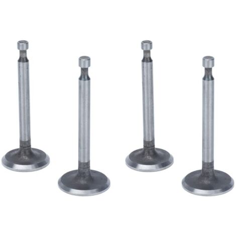 Ej.Life Kit de soupapes de moteur, 2 ensembles de soupapes d'admission antirouille en acier inoxydable pour moteurs à 2KW 2.5KW 3KW 168F GX160 (1/5)