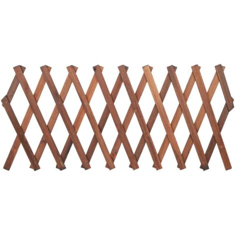 Treillis extensible en pin pour plantes grimpantes – Dimensions ajustables 120 x 35cm, 155 x 30cm, 180 x 25cm – Support robuste pour vignes et fleurs (1/5)