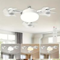 Plafonnier LED Smart - contrôle à distance, luminosité réglable et 3 vitesses, adapté pour la chambre, le salon, le bureau, la cuisine et la salle de bain(plafonnier à 3 têtes noir)