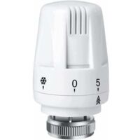 Radiator valve, heating system, pneumatic temperature control valves, standard replacement head for thermostatic radiator valve