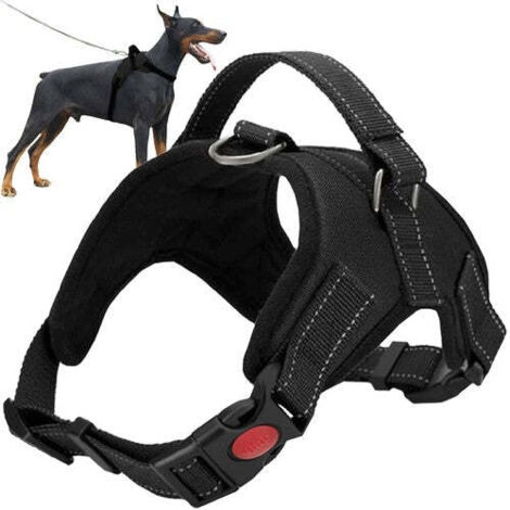 Harnais pour chien sans pression L (1/5)