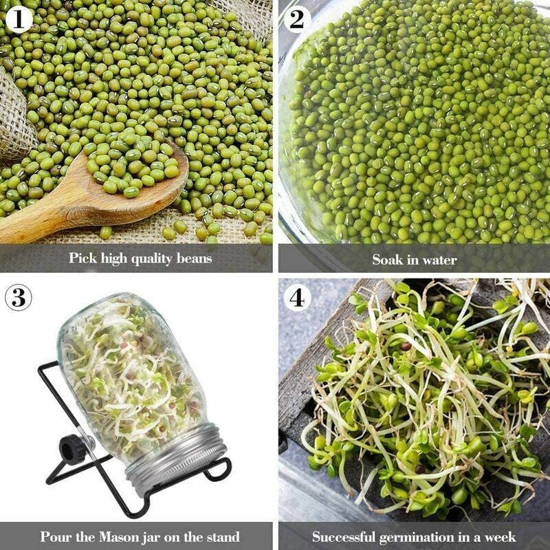 Couvercle De Germination Pour Bocaux Mason Cocina,... - Grandado