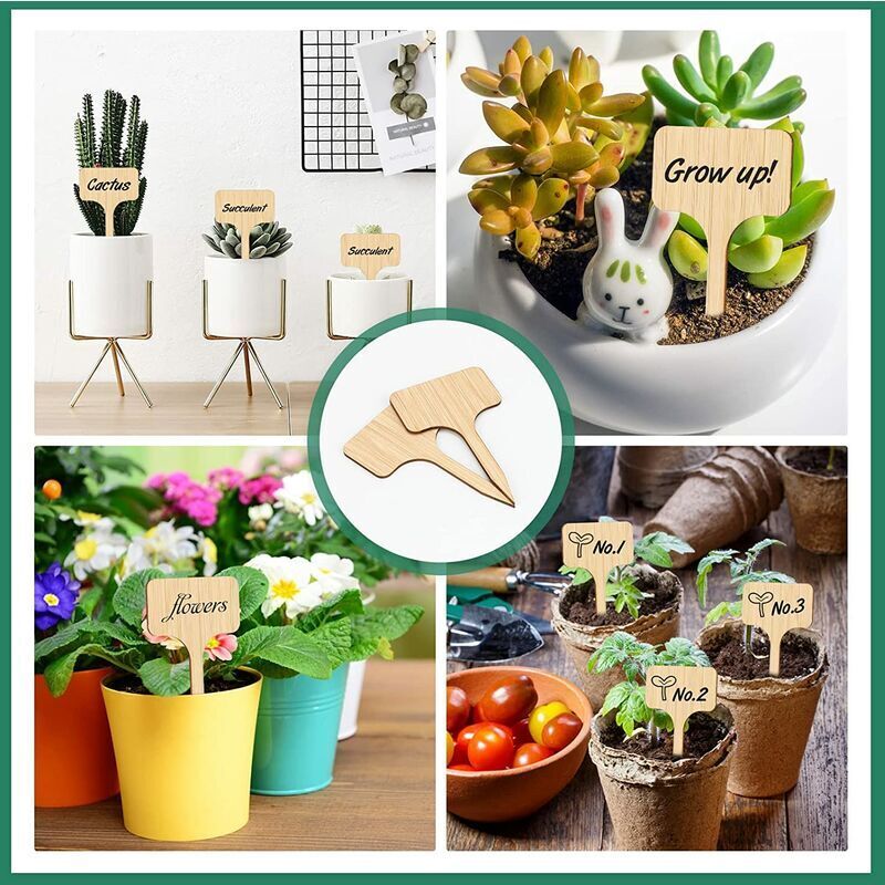 30 Étiquettes De Jardin En Bambou Naturel - Marqueurs Plantes T-Type 10x6 Cm Pour Potager, Fleurs Et Semis