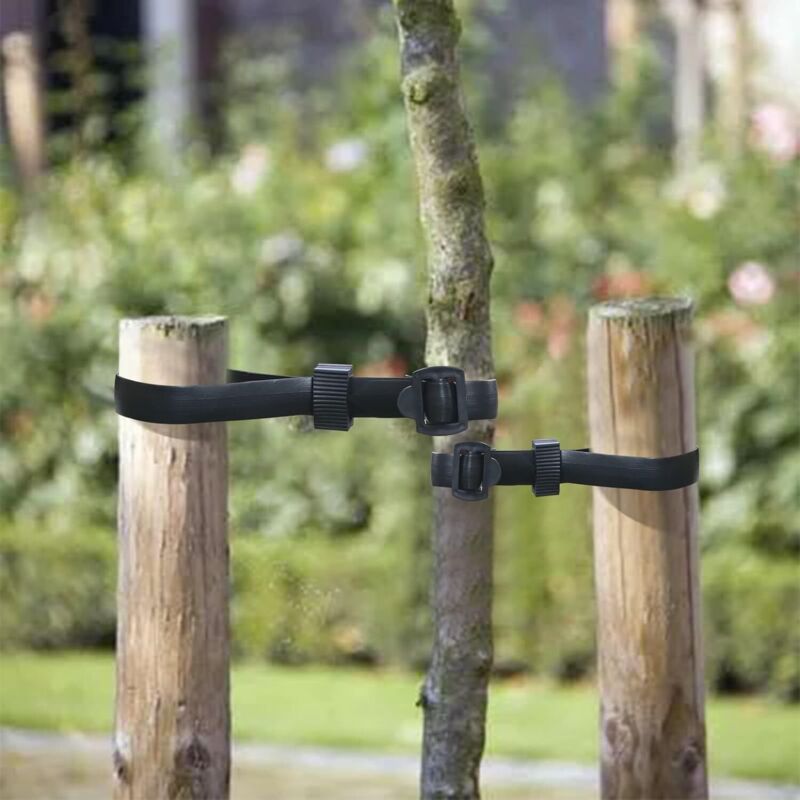 Lot de 12 sangles d'arbre avec œillets pour tuteur/tuteur/tuteur/tuteur