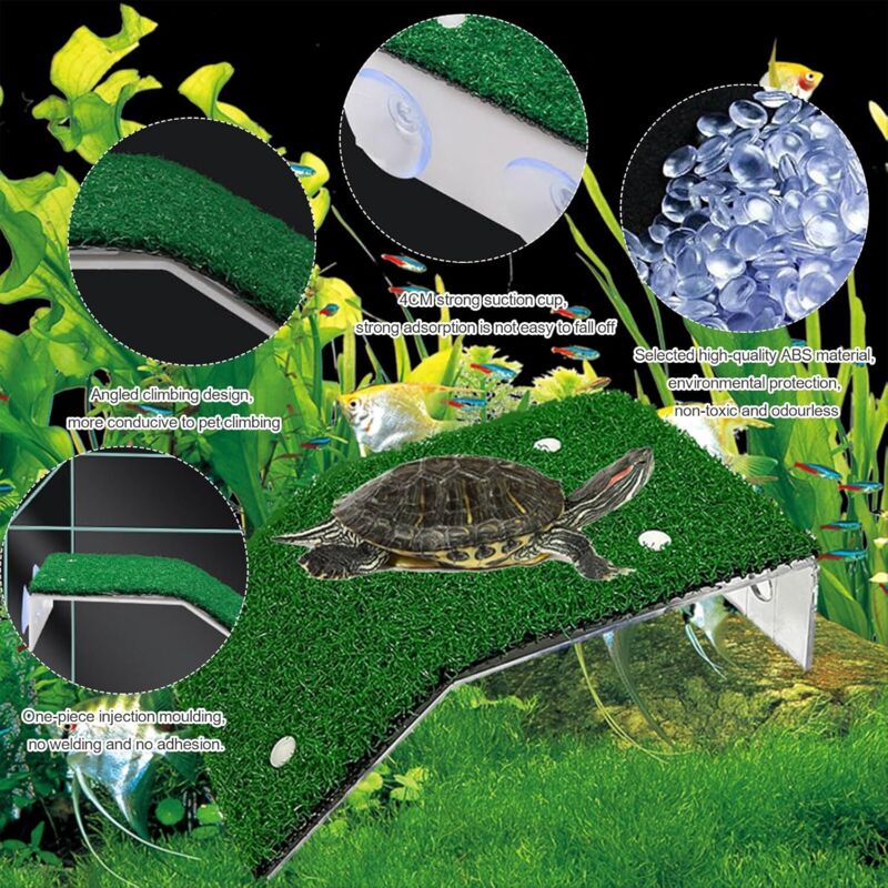 Plateforme Pour Tortue, île Flottante Pour Tortue Ou Reptile 14 X 10 X 6 5 Cm Avec S 94371117