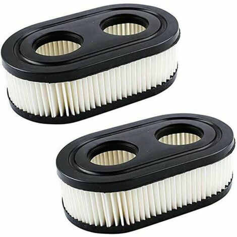 2 pièces filtre à air moteur série 593260 4247 5432 5432K 09P702 tondeuse à gazon Briggs and Stratton élément de filtre à air