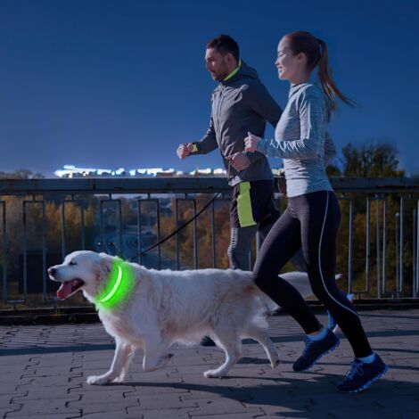 Harnais lumineux de sécurité LED clignotant - M-L - NEUF | Kaufen auf