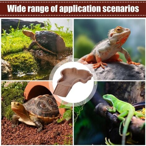 Piscine Pour Tortue Plat D'eau Pour Tortue De Piscine Avec Rampe - Mangeoire Tortue Terrestre - Bassin De Bain Pour Reptiles - Bol Alimentation Reptile - Bol Eau Reptile | Pour Tortue