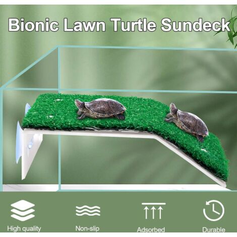 Plateforme de bain en forme de tortue pour petits ... – Grandado