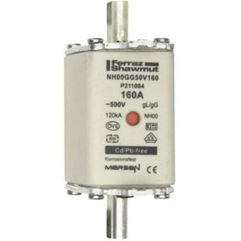 NS160N 4P 160A + VIGI , TM160D DISJ DIFFERENTIEL ( SCHNEIDER ) M-GERIN