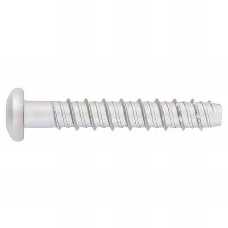 THP - ANCRAGE BÉTON HOMOLOGUÉ OPT.1 BRO06X100 ( 50 u.) (1/2)